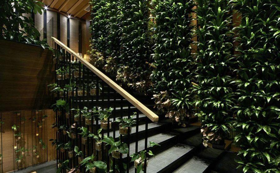 楼梯 竹林昆明餐厅装修_楼梯