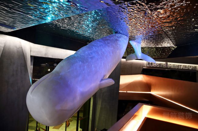 顶面艺术装饰设计