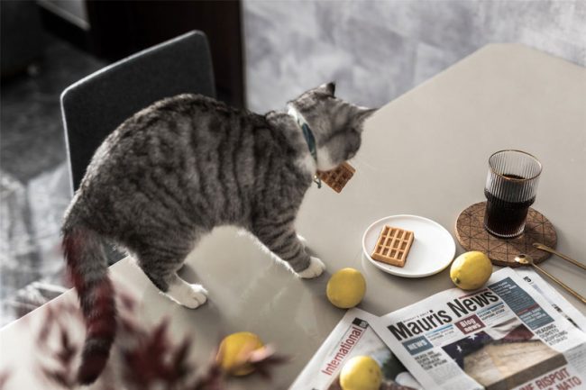 轻奢家居餐厅装修图