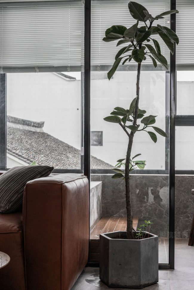 棕色皮沙发旁边的绿植