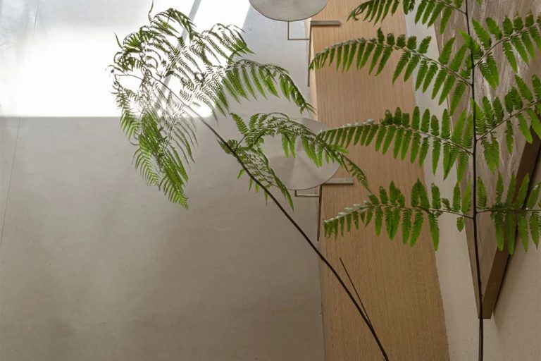 北欧风工作室前厅等候区