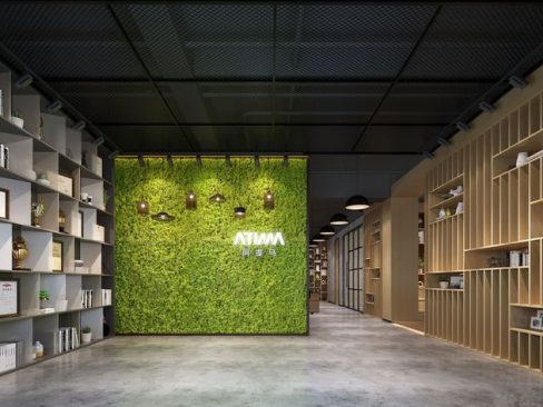 东川办公室绿植墙