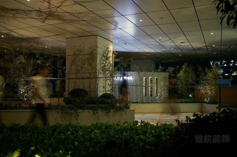云南保山现代极简风办公室装修设计效果图室外花园