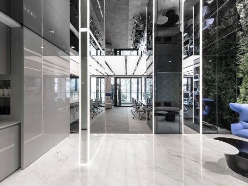 呈贡办公室绿植背景墙